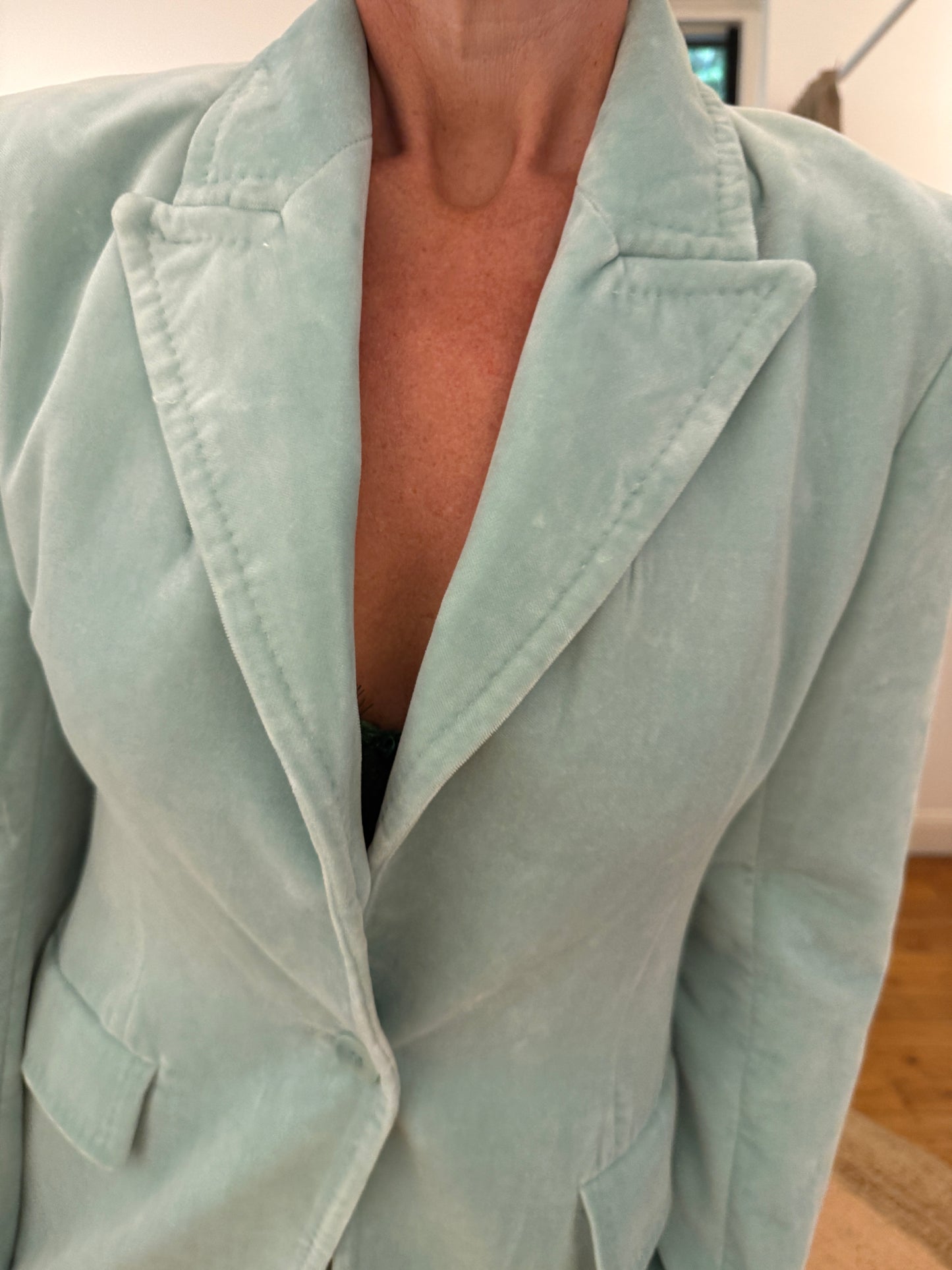 
                  
                    SCANLAN THEODORE	Velvet Blazer 8
                  
                