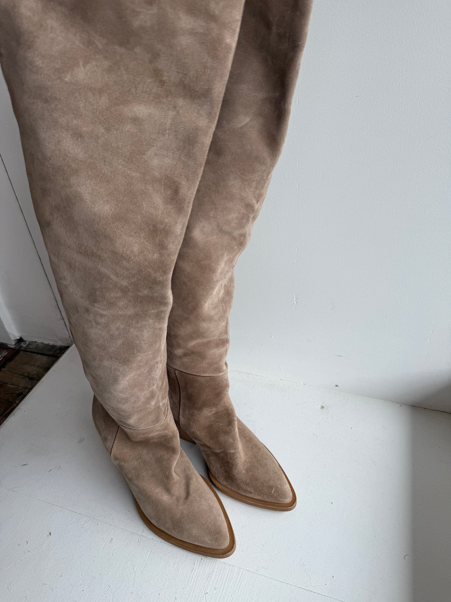 
                  
                    SCANLAN THEODORE Knee high stretch boots 37
                  
                