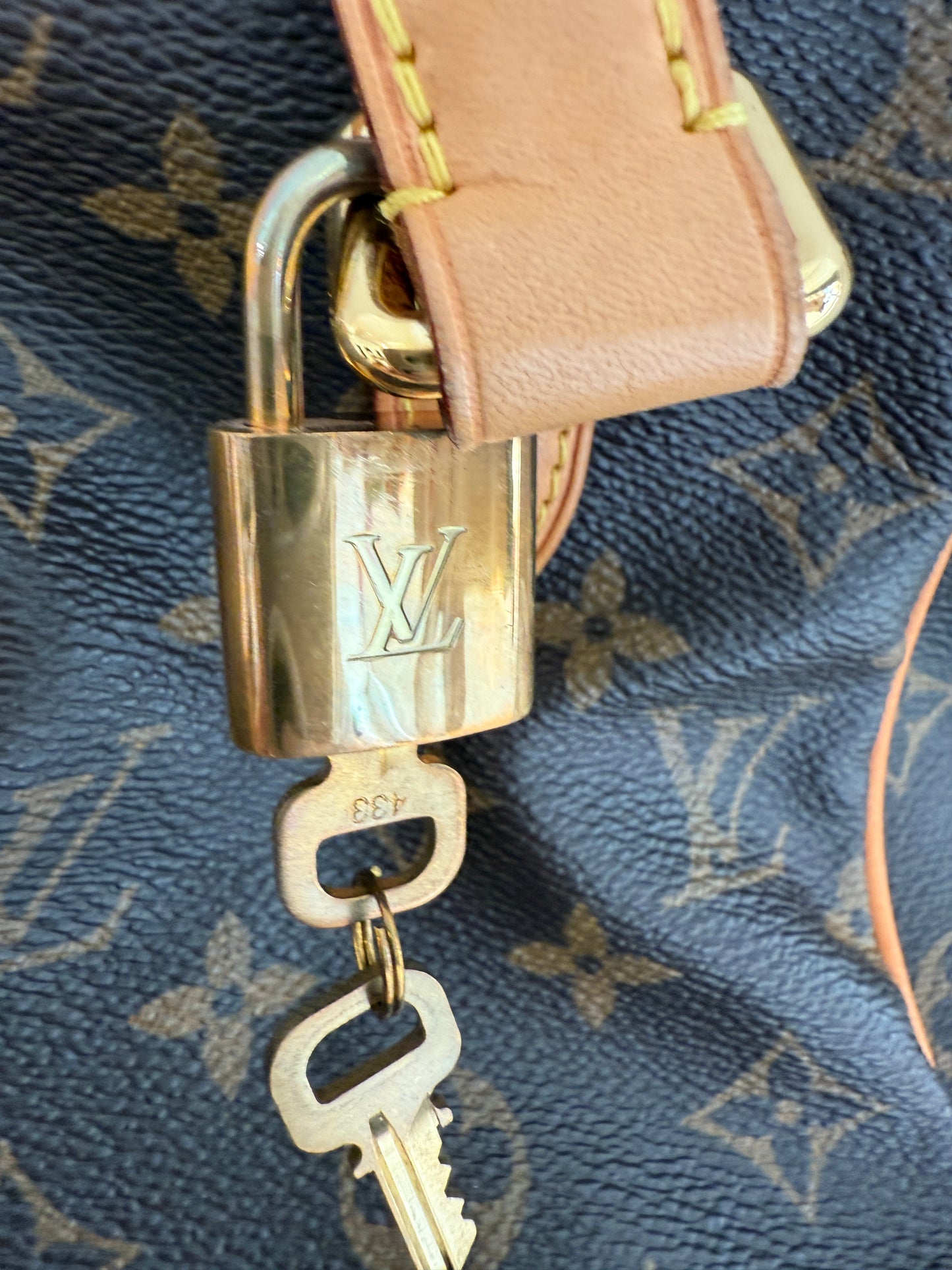 
                  
                    LOUIS VUITTON Estrela MM bag
                  
                