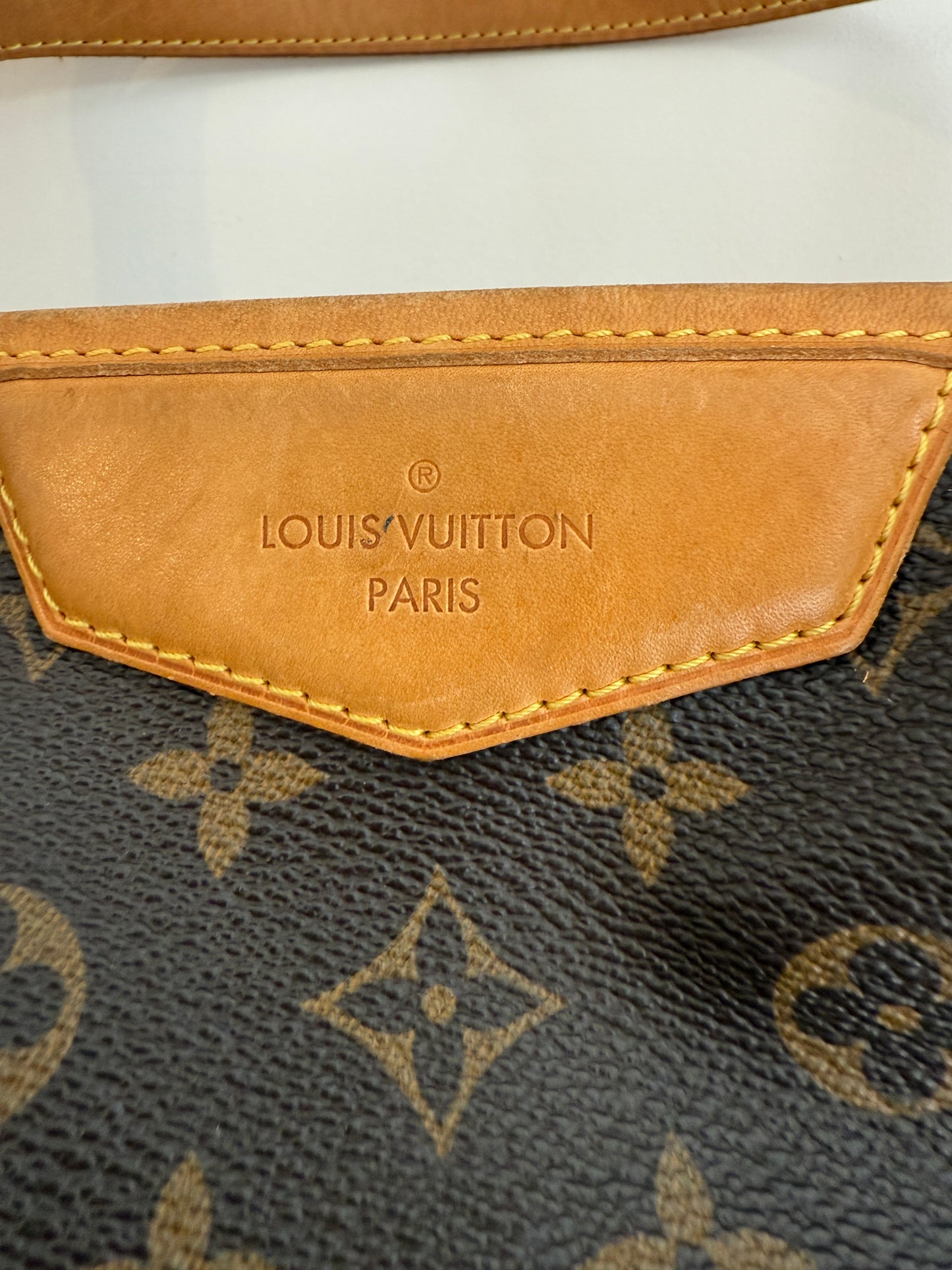
                  
                    LOUIS VUITTON Estrela MM bag
                  
                