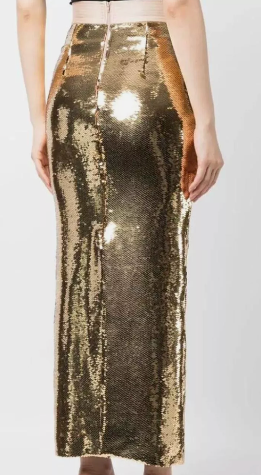 
                  
                    ALEX PERRY Denton sequins embellished maxi skirt 6
                  
                